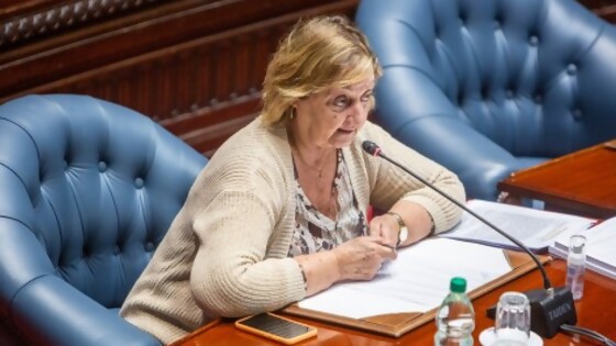 El Senado votó por unanimidad el desafuero de Gustavo Penadés — La Entrevista — Más Temprano Que Tarde | El Espectador 810