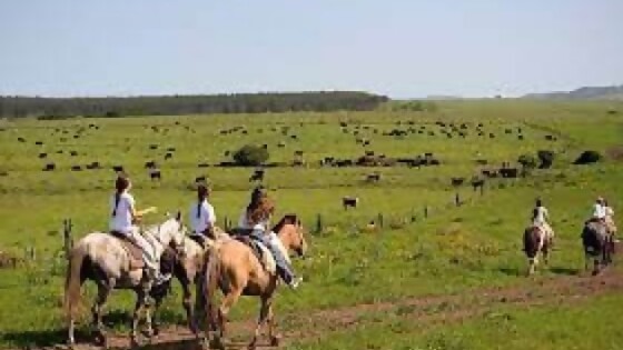 El crecimiento del turismo rural — Andén 810 — Puras Palabras | El Espectador 810