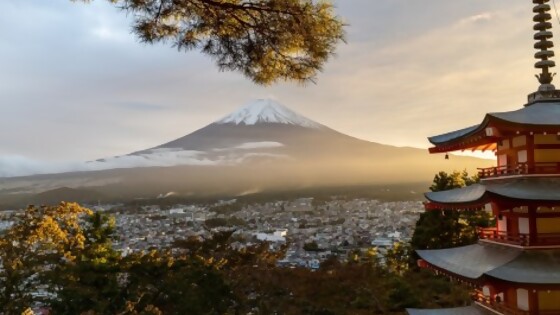 El secreto japonés  — Puras historias — Puras Palabras | El Espectador 810