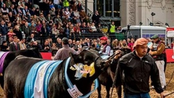 Expo Palermo: “se está presentando la mejor genética”, resaltó Millan — Exposiciones — Dinámica Rural | El Espectador 810