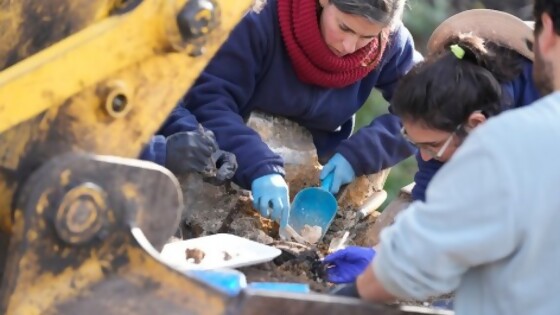 Identificación de restos del Batallón 14 es un objetivo posible y hubo avances — Informes — No Toquen Nada | El Espectador 810