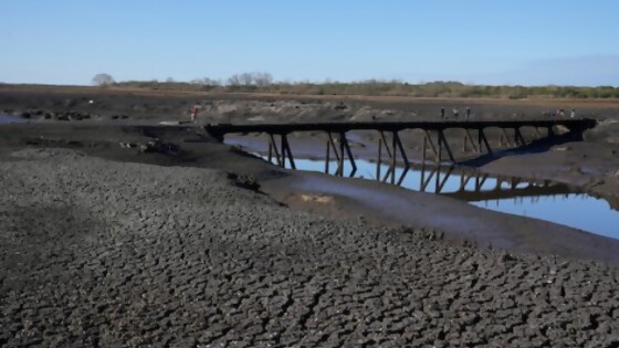 Pérez: “Apostamos a que El Niño solucione el problema de las precipitaciones” — Entrevistas — Primera Mañana | El Espectador 810