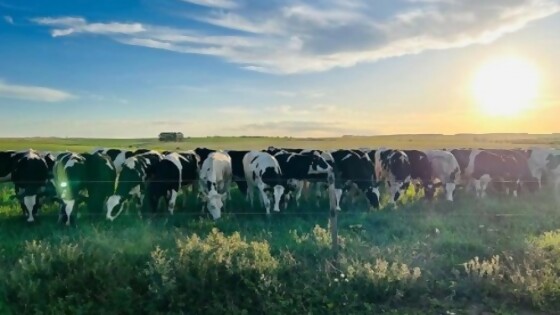 Hernández: le pedimos a Conaprole el máximo esfuerzo posible, esperando hasta el último día de agosto — Lechería — Dinámica Rural | El Espectador 810