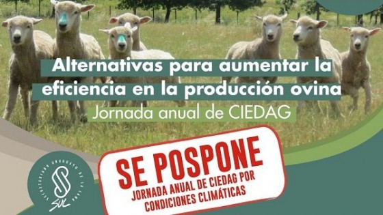 SUL postergó hasta nuevo aviso la jornada “Alternativas para aumentar la eficiencia en la producción ovina” — Mercado Lanero — Dinámica Rural | El Espectador 810