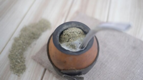 Los efectos de la yerba mate en la salud — Jardinería Atómica — Humano Curioso | El Espectador 810