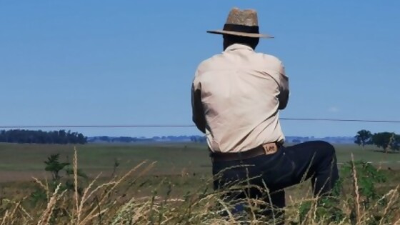 ¿Qué pasará con el tiempo? — Clima — Dinámica Rural | El Espectador 810