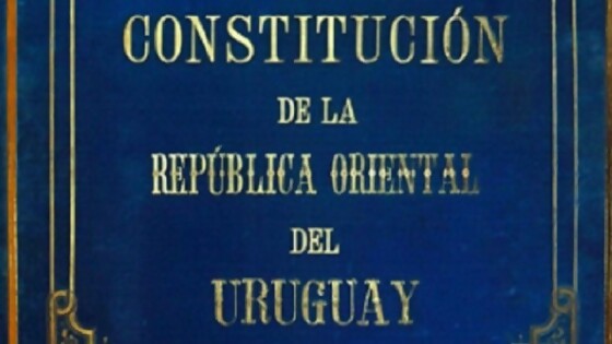 Cuatro plebiscitos previstos para la elección de octubre 2024 — Cuestión de derechos: Dr. Juan Ceretta — Más Temprano Que Tarde | El Espectador 810