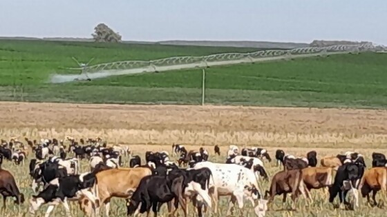 Sociedad de Fomento Rural La Casilla celebra su 75° aniversario buscando crecer — gremiales — Dinámica Rural | El Espectador 810