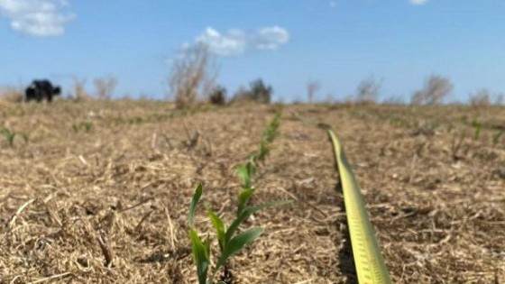 Nubel Cisneros: las lluvias darán un impasse hasta mitad de la próxima semana  — Clima — Dinámica Rural | El Espectador 810