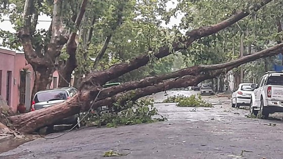 Caramés: “En Colonia las rachas de viento llegaron a los 167 km/h” — Entrevistas — Primera Mañana | El Espectador 810