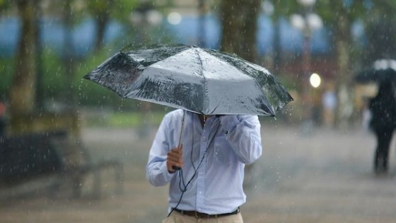 La necesidad de incorporar los conceptos de riesgo y peligro ante los anuncios meteorológicos adversos — La Entrevista — Más Temprano Que Tarde | El Espectador 810