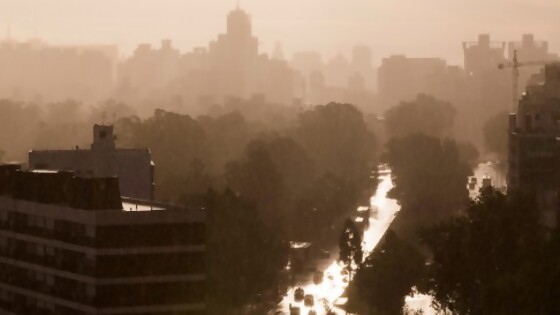 Darwin comentó las recomendaciones ante la “montaña” de calor — Columna de Darwin — No Toquen Nada | El Espectador 810