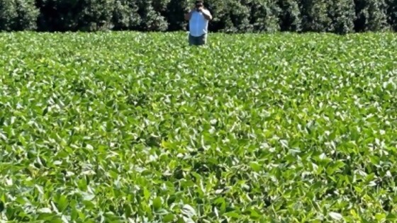 Mario Bidegain: avance de un frente frío generará precipitaciones  — Clima — Dinámica Rural | El Espectador 810