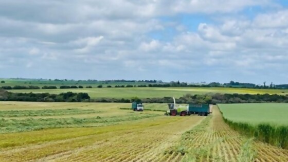 Bidegain: una semana que comienza fresca, luego llega a los 30° y termina con lluvias — Clima — Dinámica Rural | El Espectador 810