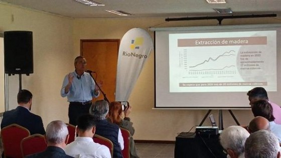 Faroppa: bosque plantado representa 6% del territorio nacional — Economía — Dinámica Rural | El Espectador 810