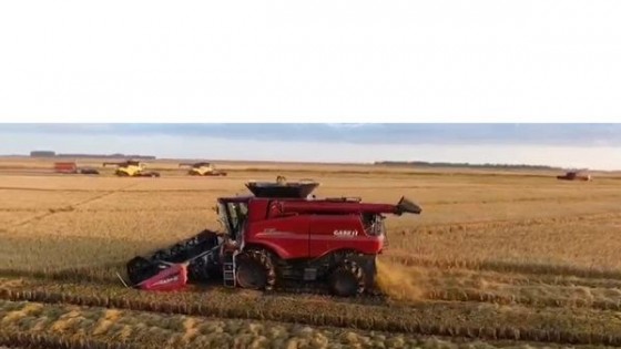 Cisneros: una semana con tormentas y con acumulados que podrían llegar a los 200 mm — Clima — Dinámica Rural | El Espectador 810