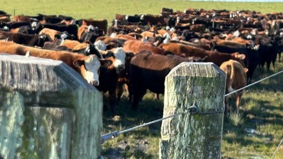 Senatore: ‘‘ojalá que con el cambio de gobierno se siga por el mismo camino’’ — gremiales — Dinámica Rural | El Espectador 810