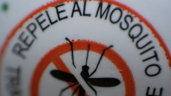 Repelente casero contra los mosquitos — Audios — Paren Todo | El Espectador 810