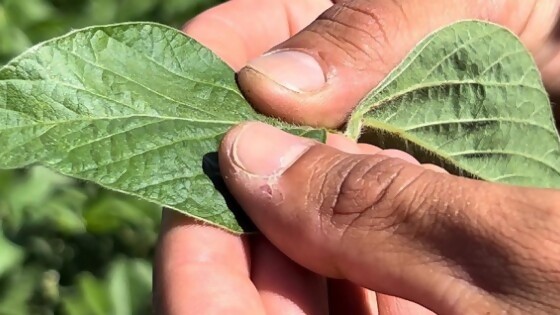 Bidegain: precipitaciones el miércoles, y luego días relativamente soleados con temperatura otoñal — Clima — Dinámica Rural | El Espectador 810