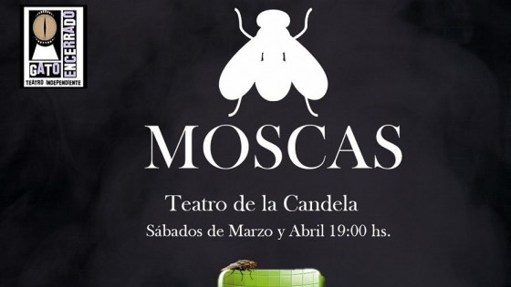 Café para dos: Moscas  — Café para dos — Otras metaforas | El Espectador 810