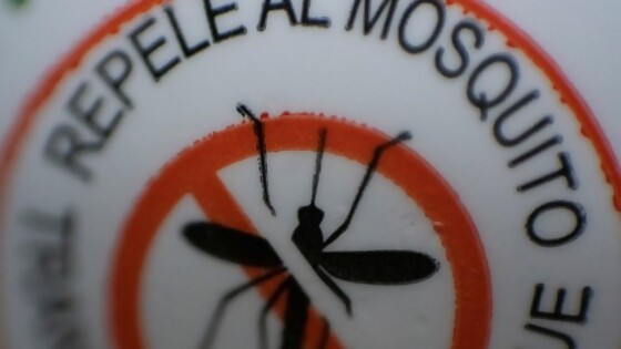 Los factores de la uruguayización del dengue/ Último Papasso Celeste — Columna de Darwin — No Toquen Nada | El Espectador 810