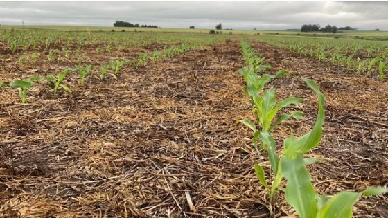 Temperaturas que ascienden, hasta un viernes más frío y con algunas precipitaciones — Clima — Dinámica Rural | El Espectador 810