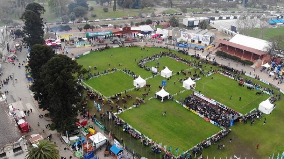 Ferber de cara a Expo Prado: números consolidados con el profesionalismo de la reproducción  — Exposiciones — Dinámica Rural | El Espectador 810