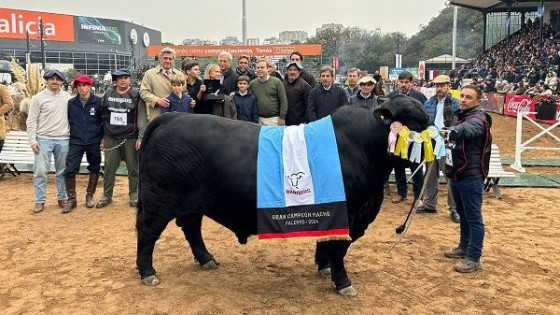 Nicolás Correa: el nivel brangus de Palermo y el crecimiento en Uruguay — Exposiciones — Dinámica Rural | El Espectador 810