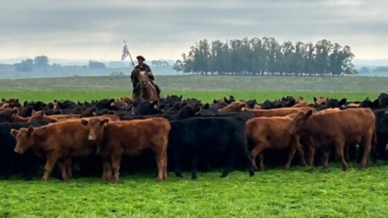 Eisele: ‘‘elegimos Uruguay por la importancia que tiene el país en la sostenibilidad de la carne’’ — Carne — Dinámica Rural | El Espectador 810