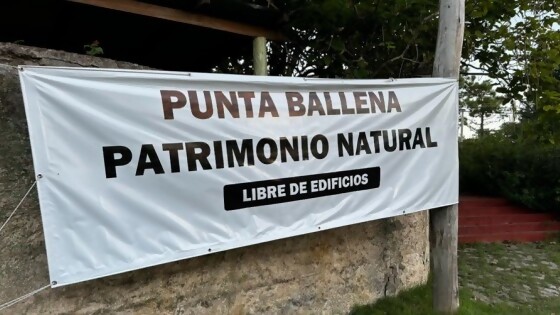 Ministerio de Ambiente recomienda denegar la autorización ambiental al Proyecto de Punta Ballena — Cuestión de derechos: Dr. Juan Ceretta — Más Temprano Que Tarde | El Espectador 810