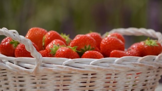 Alimentos salvajes: la tendencia alimenticia de agachar el lomo y buscar hongos, raíces — Gustavo Laborde — No Toquen Nada | El Espectador 810