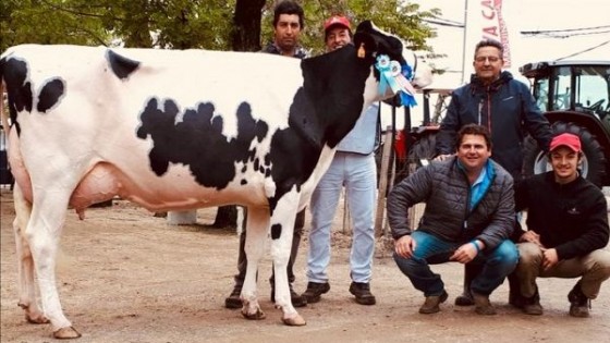 Cabaña 'El Grillo' de Gurgitano cierra un año con grandes logros, lo que ratifica el camino trazado desde 1971 — Lechería — Dinámica Rural | El Espectador 810