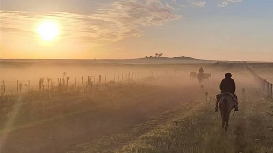 INC: Desde 2005 a la fecha se destinaron más 130 mil hectáreas a productores — Economía — Dinámica Rural | El Espectador 810