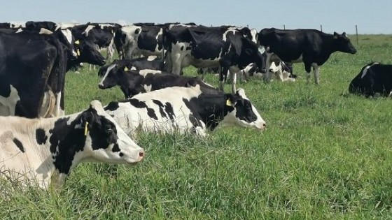 Conaprole dentro de los productores Grass Fed — Economía — Dinámica Rural | El Espectador 810