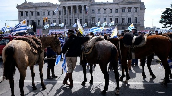 Un Solo Uruguay: “La alegría es muy grande para los que trabajamos contra la inclusión financiera obligatoria” — Audios — Primera Mañana | El Espectador 810