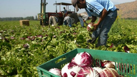 El déficit hídrico golpea y compromete la producción hortifruticola  — Granja — Dinámica Rural | El Espectador 810