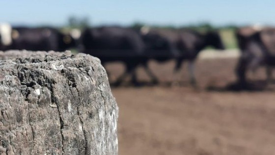 M. Santoro: tenemos un año menos de precipitaciones — Lechería — Dinámica Rural | El Espectador 810