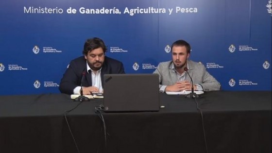 Emergencia Agropecuaria: El MGAP aprobó, hasta el momento, 377 solicitudes de créditos — Economía — Dinámica Rural | El Espectador 810