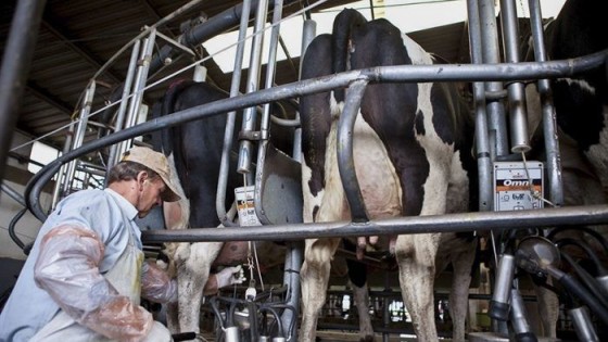 Lechería: Previo al invierno, es imprescindible prevenir — Lechería — Dinámica Rural | El Espectador 810