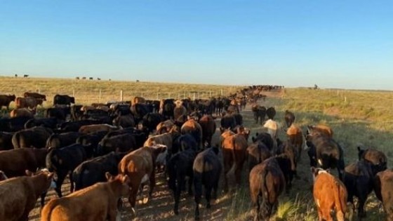 Hacía falta: Las lluvias favorecieron al norte del país — Audios — Dinámica Rural | El Espectador 810