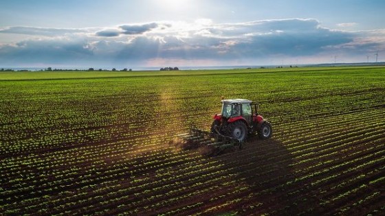 La LUC y su impacto en el sector agropecuario — Economía — Dinámica Rural | El Espectador 810