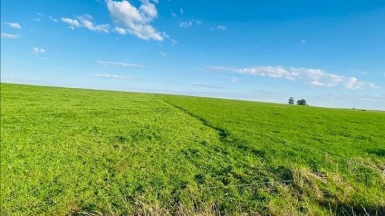 En Flores, Da Silva Agroinmuebles tiene a licitación 418 hás con aptitud agrícola, ganadera y forestal — Economía — Dinámica Rural | El Espectador 810