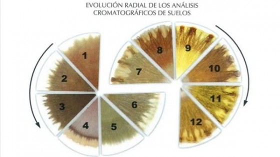 ¿Qué es la cromatografía? — Audios — Dinámica Rural | El Espectador 810