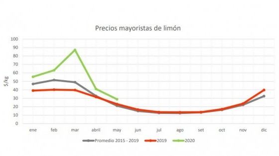 ¿Pequeña corrida de vitamina C por el Covid 19? — Informes — No Toquen Nada | El Espectador 810