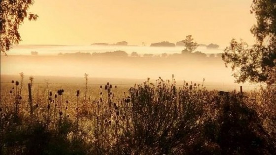 Proyección: Semana sin lluvias, pero con bajas temperaturas y heladas — Audios — Dinámica Rural | El Espectador 810