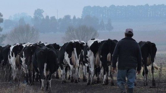 Eduardo Viera: la demanda de granos y concentrados ha crecido mucho — Lechería — Dinámica Rural | El Espectador 810