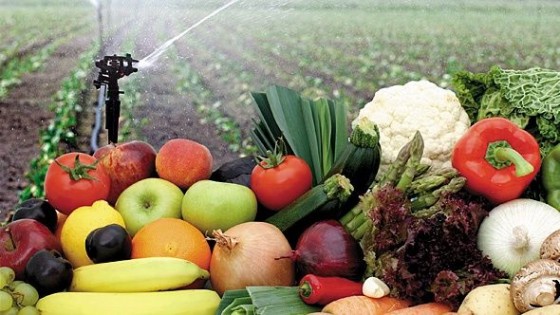 Mejoramiento genético, una herramienta para mejorar la producción de frutas y hortalizas — Granja — Dinámica Rural | El Espectador 810