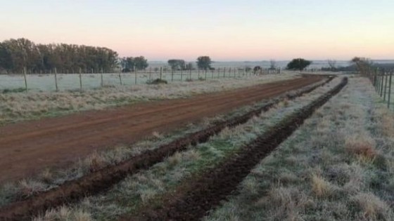 J.L. Pérez: 'Es un invierno típico' — Clima — Dinámica Rural | El Espectador 810