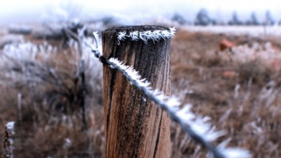 M. Bidegain: 'Es esperable que a mediados de agosto aumenten las temperaturas' — Clima — Dinámica Rural | El Espectador 810