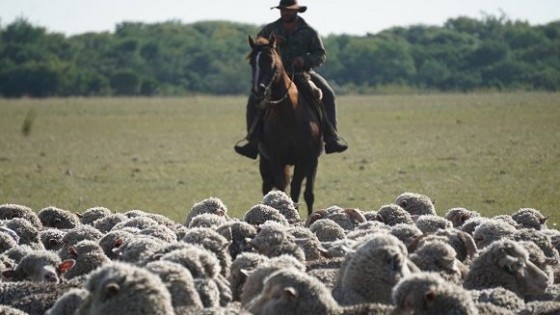 R. Máximo: ''Es un hecho la exportación de ovinos en pie'' — gremiales — Dinámica Rural | El Espectador 810